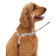 Charcoal Hamptons Stripe Hemp No-Pull Dog Harness